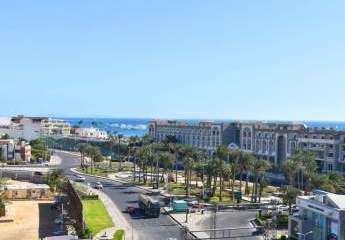 471255-Vorschaubild3