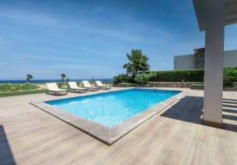 471851-Vorschaubild4