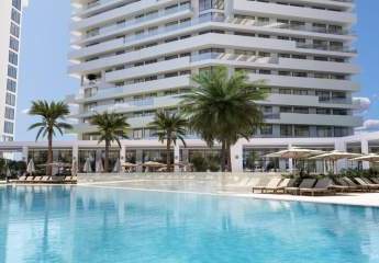 473252-Vorschaubild3