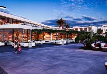 473292-Vorschaubild3