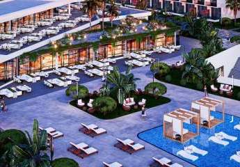 473295-Vorschaubild4