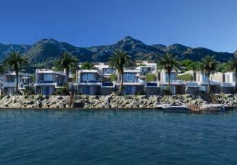 473305-Vorschaubild2