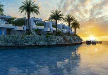 473308-Vorschaubild3