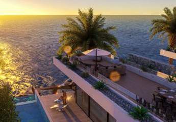 473309-Vorschaubild2