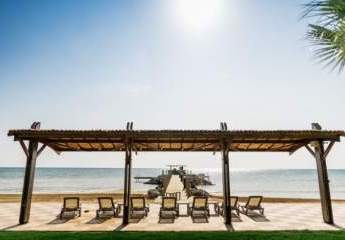 473561-Vorschaubild3