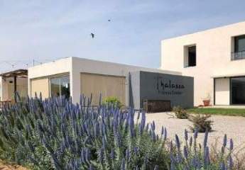 473563-Vorschaubild4