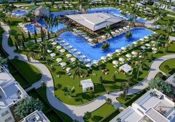 474235-Vorschaubild3