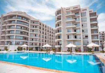 479970-Vorschaubild2