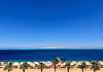 479964-Vorschaubild2