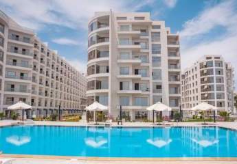 479969-Vorschaubild4