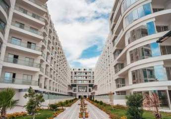 479969-Vorschaubild3