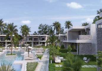 479992-Vorschaubild3