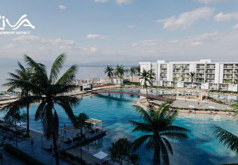 479997-Vorschaubild3