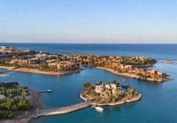 484621-Vorschaubild2