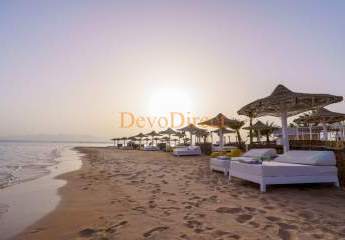 484634-Vorschaubild2