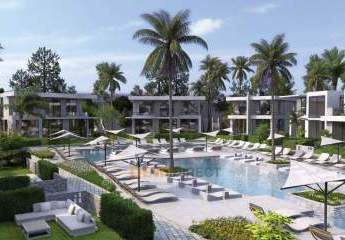 484687-Vorschaubild2