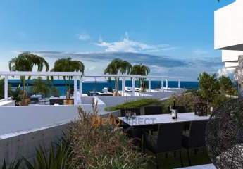 484750-Vorschaubild2