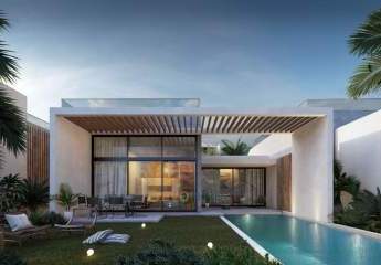 484751-Vorschaubild2