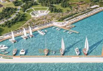 485182-Vorschaubild3