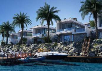 485183-Vorschaubild3