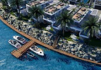 485184-Vorschaubild4