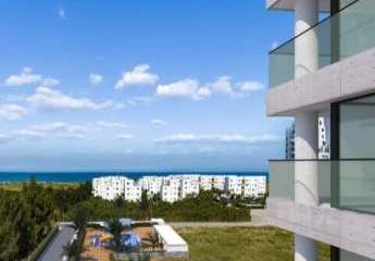 485355-Vorschaubild2