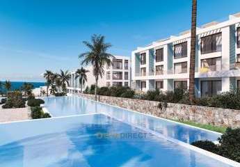 485376-Vorschaubild2