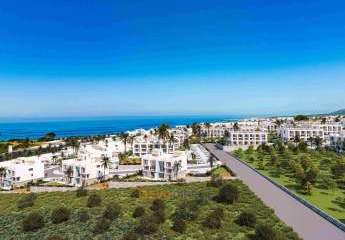 485377-Vorschaubild2