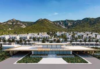 485377-Vorschaubild4