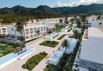 485379-Vorschaubild2