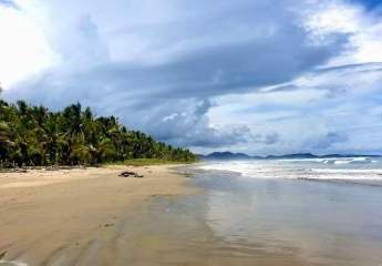 Wir bauen für Sie Ihr Traumhaus in einer neuen deutschen Community