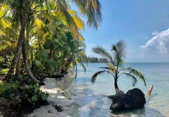 Traumgrundstück in PANAMA mit Strandzugang
