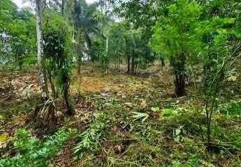 472250-Vorschaubild3