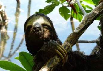 472250-Vorschaubild4