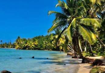 472250-Vorschaubild2