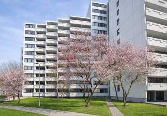 472523-Vorschaubild3