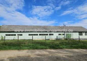 471778-Vorschaubild2