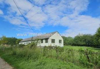 471778-Vorschaubild3