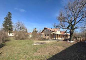 472477-Vorschaubild4