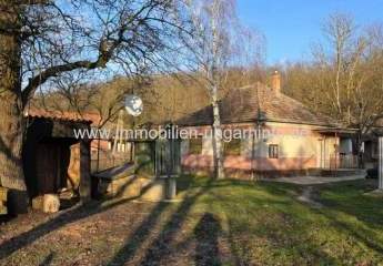 473429-Vorschaubild2