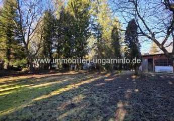 474445-Vorschaubild3