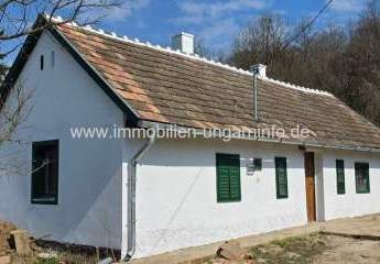 478105-Vorschaubild2