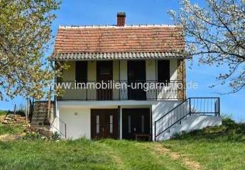 483298-Vorschaubild3