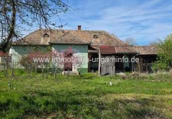 483299-Vorschaubild2