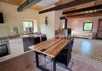 484713-Vorschaubild4