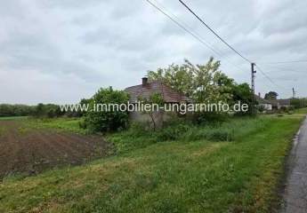 489993-Vorschaubild2