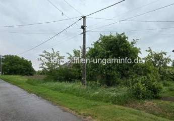 489993-Vorschaubild3
