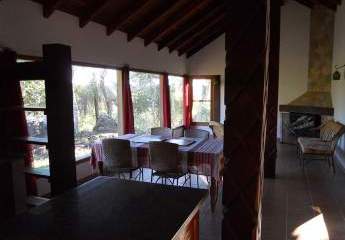 472176-Vorschaubild2