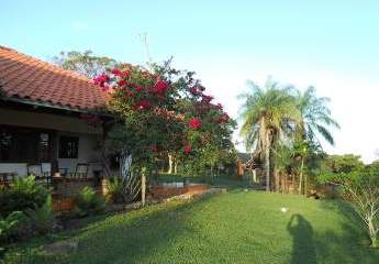 472176-Vorschaubild3