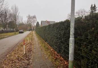 472795-Vorschaubild3